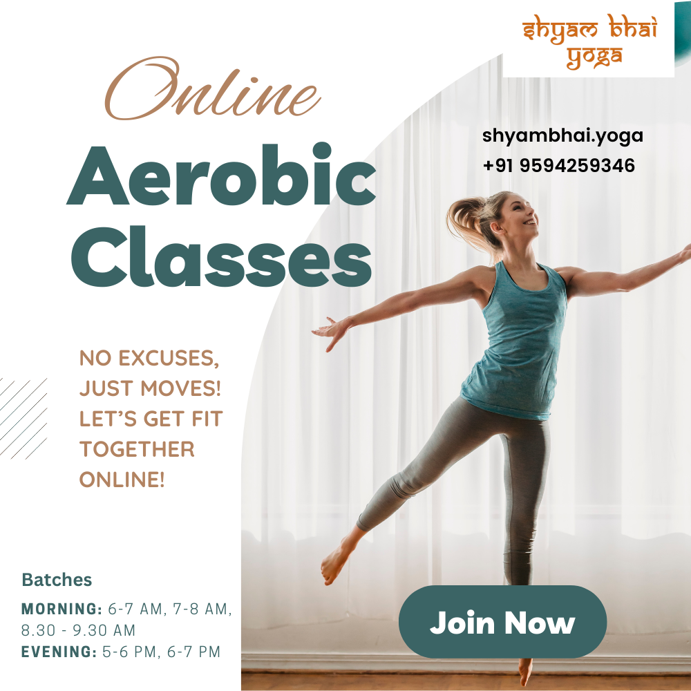 Online Aerobics Classes