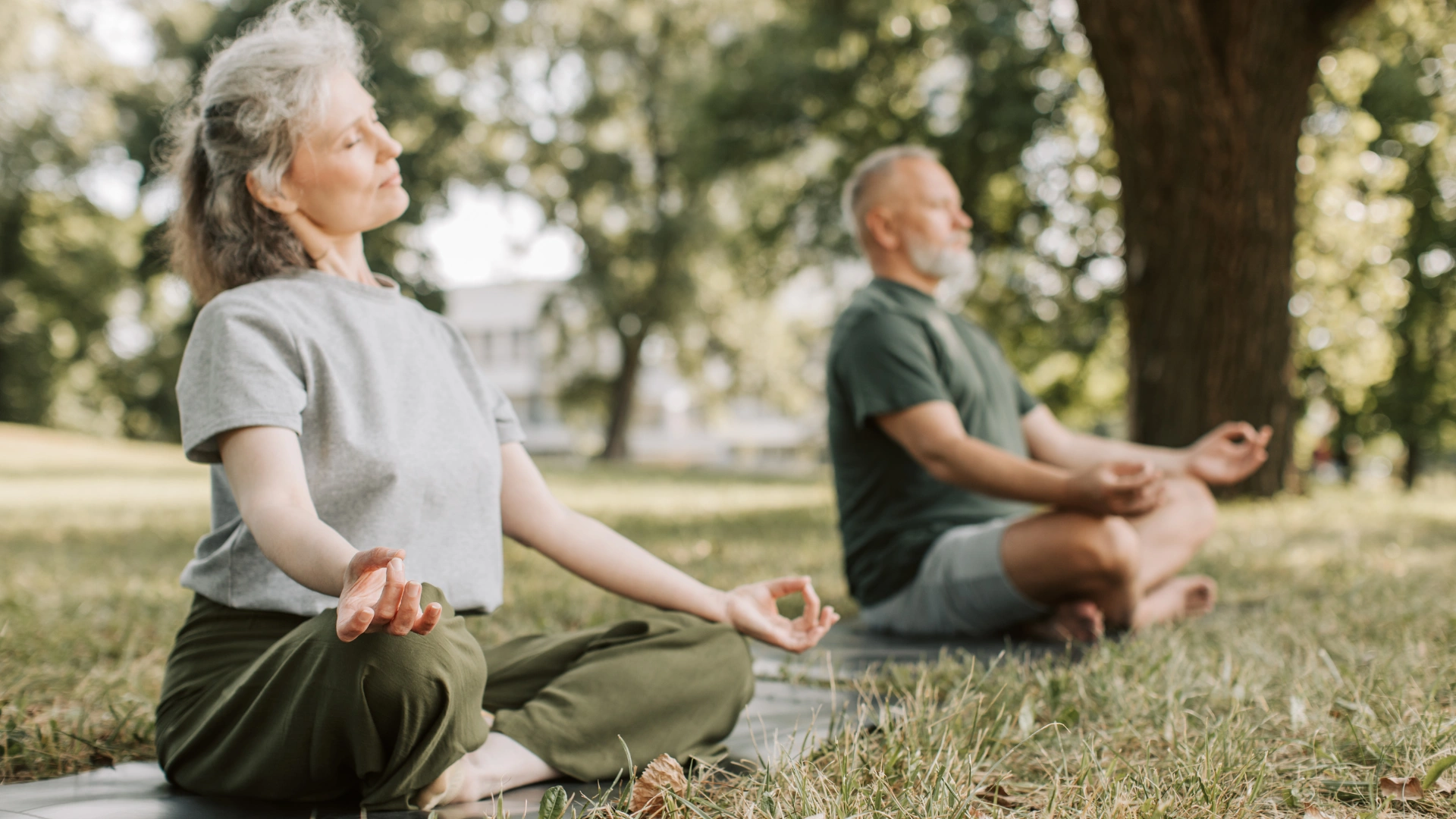 online yoga classes for Seniors