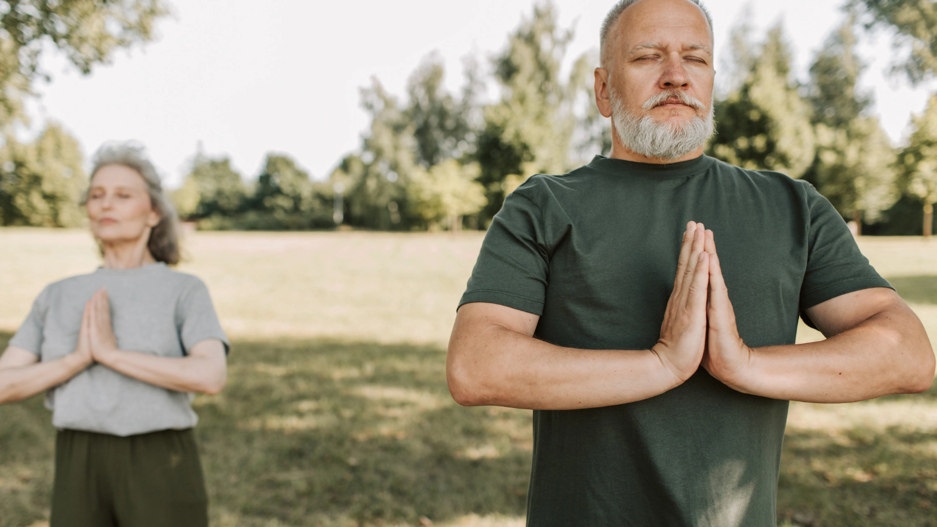 seniors yoga classes online